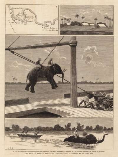 The Belgian African Expedition, disembarking Elephants at Msasani Bay by John Charles Dollman